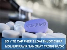 Bộ Y Tế cấp phép 3 loại thuốc chứa Molnupiravir sản xuất trong nước